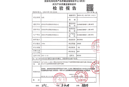 WDZBN-BYJ-2.5質(zhì)檢報(bào)告